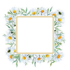 Obraz premium Square Card with Frame with Chamomiles all around
