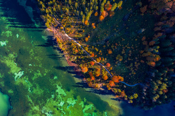 Aerial View of Almsee Lake in Autumn, Vibrant Forest and Scenic Pathway Landscape