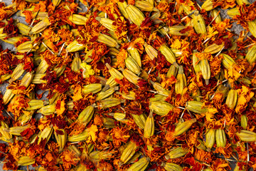 Assortment of dry herbal and berry tea on a wooden background.Medicinal Healing herbs.Alternative medicine concept.Linden, calendula, cornflowers, marigold, tansy, tea rose.dry herbal