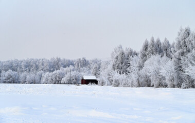 winter forest in frost, house in winter forest, frosty day