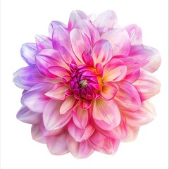 A beautiful watercolor painting of a dahlia in full bloom