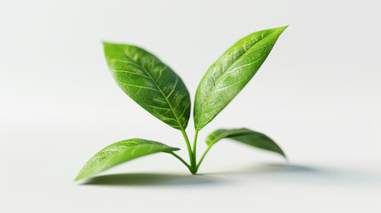 Fototapeta premium Minimalistic illustration of a stylized plant with green leaves against a neutral background 