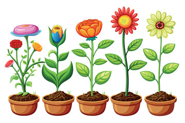  A collection of five different potted plants, each in different stages of growth and flowering.