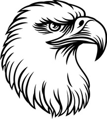 Bald eagle, hawk or falcon bird of prey face head mascot bird illustration
