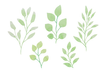 Assortment of watercolor leaves illustration set - green leaf branches collection for wedding, greetings, stationary, wallpapers, fashion, background. olive, green leaves, Eucalyptus etc