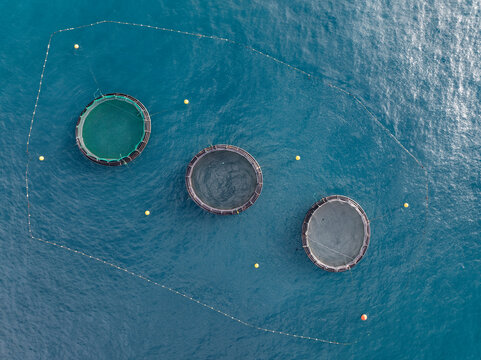 Aerial view of Fish Farm, Mellieha, Malta.