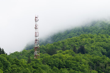 Cell tower in remote locations. Antenna tower in the forest. Radio tower in a subtropical forest. Development of information technologies in hard-to-reach places.