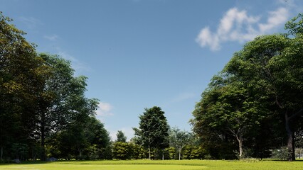 view of trees with grass and sky