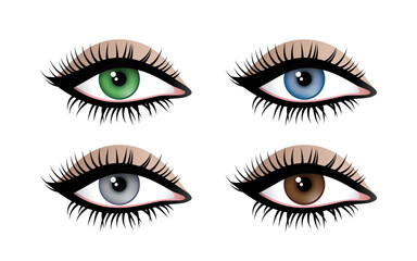 Beautiful female eye with makeup. Set of isolated vector illustrations