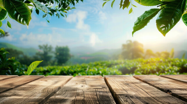 Blurred tea plantation landscape, Natural product display concept featuring a wooden table top, blue sky, and green leaf frame, creating a peaceful background.