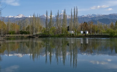 Kyrgyzstan. Picturesque reflections of pyramidal poplars in the morning surface of Lake Issyk-Kul.