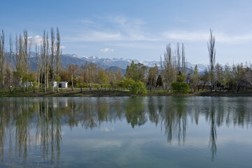 Kyrgyzstan. Picturesque reflections of pyramidal poplars in the morning surface of Lake Issyk-Kul.