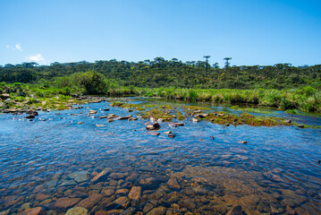 Campo dos Padres, Urubici, Santa Catarina, Brasil
