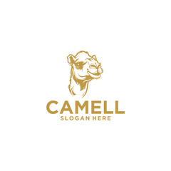Camel head logo vector illustration