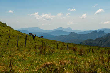 Campos dos Padres, com suas famosas planícies no alto das montanhas de Urubici, Santa Catarina.