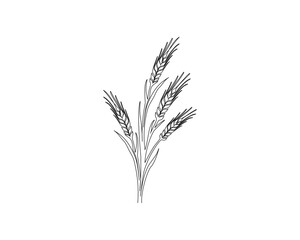 Continuous one line drawing of wheat. Barley or Rye simple outline vector illustration. Editable stroke.