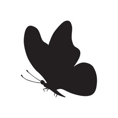 Butterfly black color, flying shape, vector design. Abstract modern monarch butterfly contours on white background for decoration design. Closeup design element, black butterfly, silhouette, icon, art