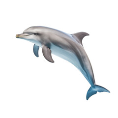 dolphin on transparent background