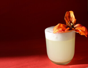 white cocktail photos for bars, restaurants and celebrations