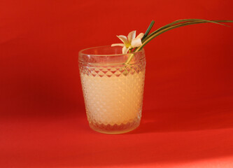 white cocktail photos for bars, restaurants and celebrations