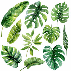 A set of green leaves with gold accents