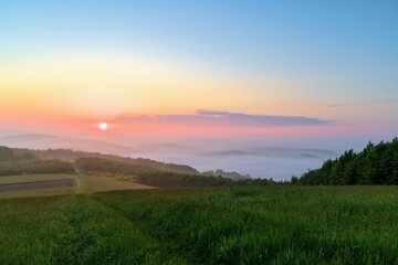 sunrise over the field