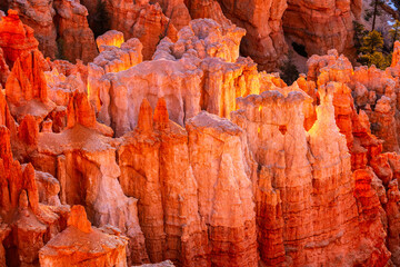 Bryce Canyon National Park, UT, USA