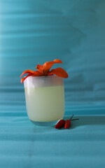 white cocktail photos for bars, restaurants and celebrations