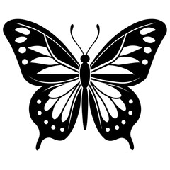 black and white butterfly