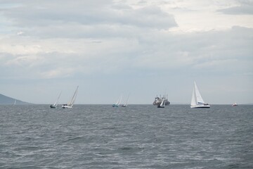 Obraz premium Yachts during a regatta in the Amur Bay near Vladivostok
