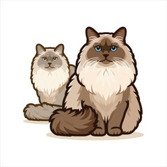 Explore Ragdoll cats in various charming poses. Our high-quality illustrations capture their grace and charm. Perfect for pet-related designs.