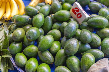 Big Bunch of Green Avocado at Farmers Market Turkey
