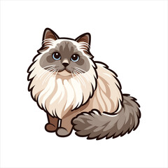 Explore Ragdoll cats in various charming poses. Our high-quality illustrations capture their grace and charm. Perfect for pet-related designs.