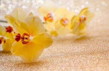 A branch of yellow orchids on a shiny gold background
