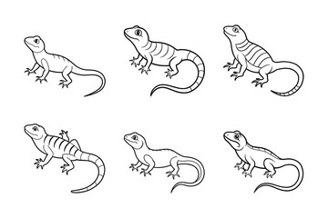 Obraz premium 6 lizard lineart vector.
