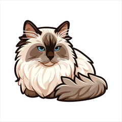 Explore Ragdoll cats in various charming poses. Our high-quality illustrations capture their grace and charm. Perfect for pet-related designs.