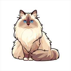 Explore Ragdoll cats in various charming poses. Our high-quality illustrations capture their grace and charm. Perfect for pet-related designs.