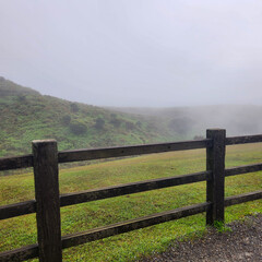 Foggy morning in Qingtiangang Grassland, Yangmingshan Park in Taipei Taiwan.