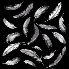 Fototapeta premium Many bird feathers of different shapes, drawn in white on a black background, creative natural background, for print and design, clothing decoration