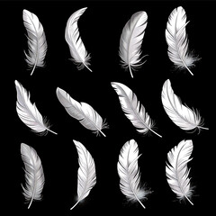 Obraz premium Many bird feathers of different shapes, drawn in white on a black background, creative natural background, for print and design, clothing decoration