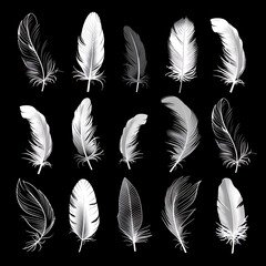 Obraz premium Many bird feathers of different shapes, drawn in white on a black background, creative natural background, for print and design, clothing decoration