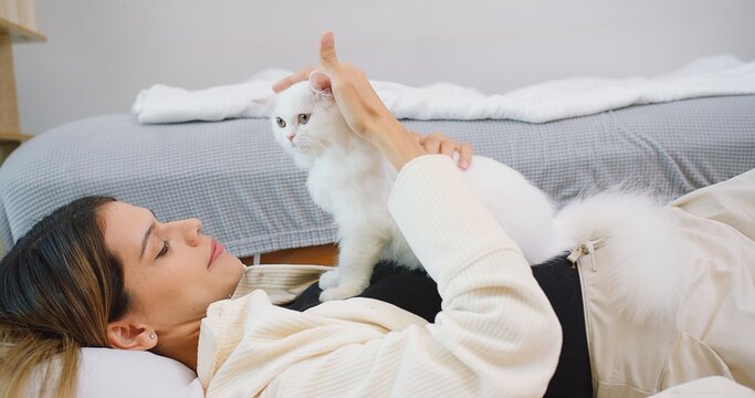 Attractive woman is laying on a bed petting cute little fluffy white cat in living room, owner stroking domestic cat animals at home, Relationship between pets and people, peaceful and calming
