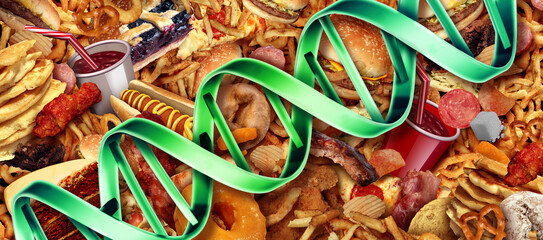 Junk Food Gene or fat mass and obesity associated genetics or FTO as a Fast-food concept with a DNA strand representing genetics and unhealthy eating affecting genes.