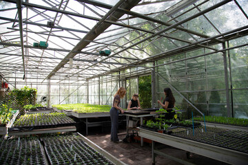 Friends collaborating in a greenhouse garden