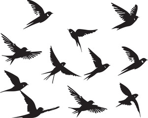 Silhouettes of birds swallow on white background	
