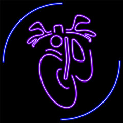 moto sport neon sign, modern glowing banner design, colorful modern design trend on black background. Vector illustration.