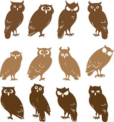 Owl Vector set on White Background