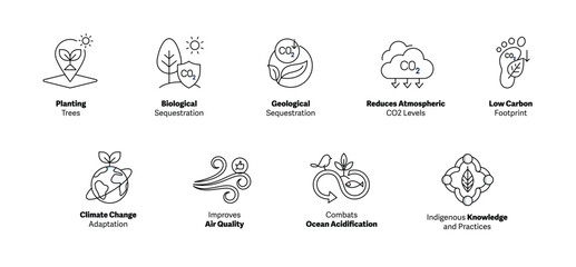 Visualizing Carbon Sequestration. Icon Concepts for Environmental Impact. Carbon Sequestration Icons. Reduce Your Carbon Footprint. Vector Editable Stroke Icons.