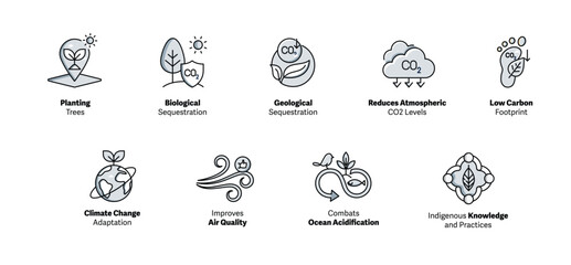 Fototapeta premium Visualizing Carbon Sequestration. Icon Concepts for Environmental Impact. Carbon Sequestration Icons. Reduce Your Carbon Footprint. Vector Editable Stroke Icons.