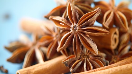 Close-up photo of star anise and cinnamon sticks, showcasing their rich textures and warm colors.